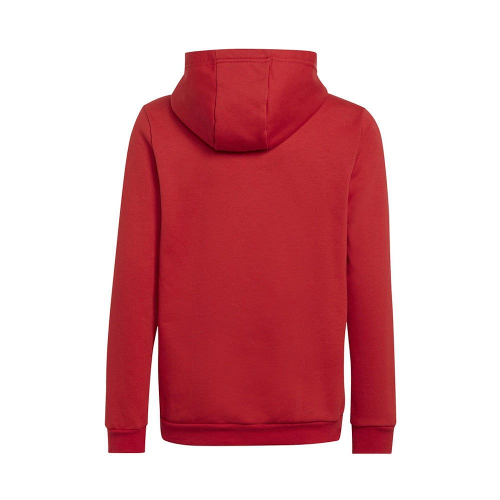 Duks Adidas H57566 UFJ