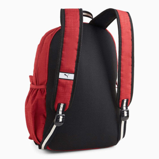 Qantë shpine Puma 090716 02