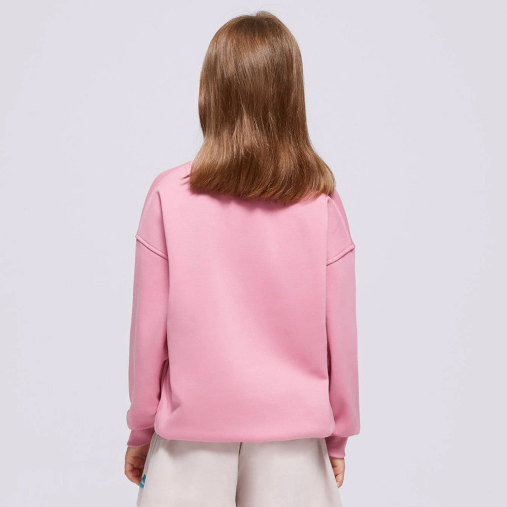 Duks Nike FD2923 646 V