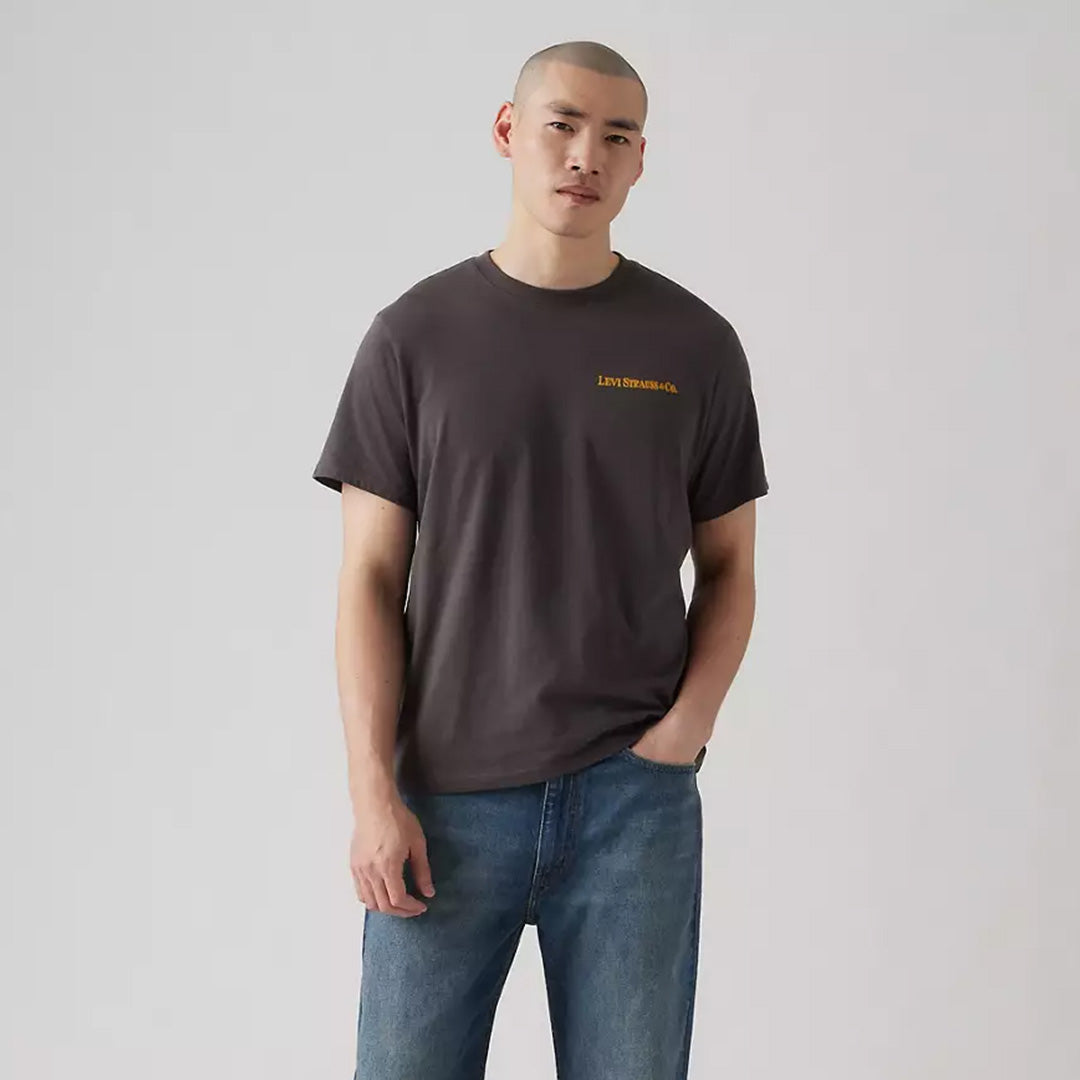 Maicë Levis 1614319470