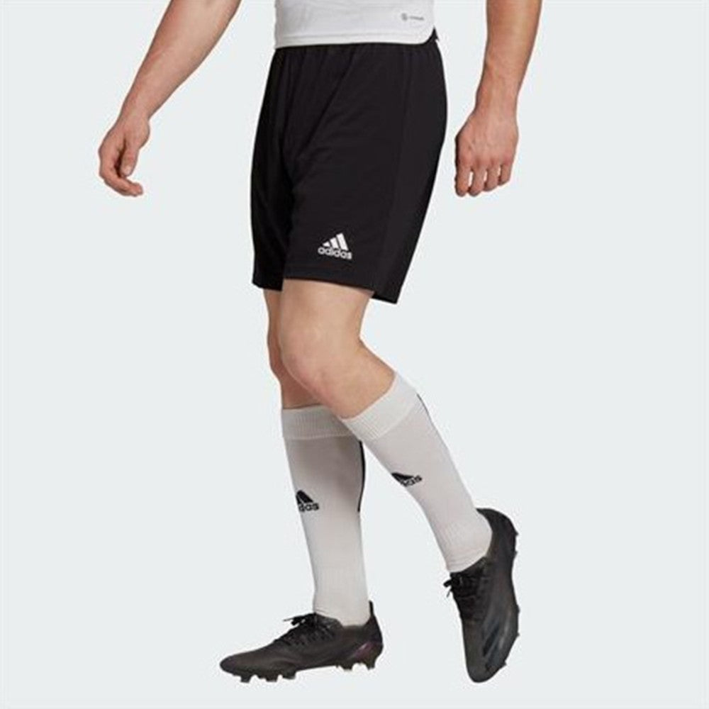 Shorce Adidas H57504 M