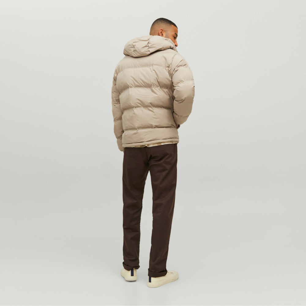 Jakne Jack & Jones 12211781CRO