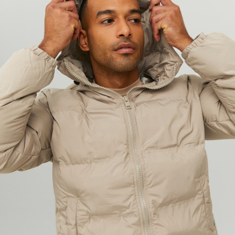 Jakne Jack & Jones 12211781CRO