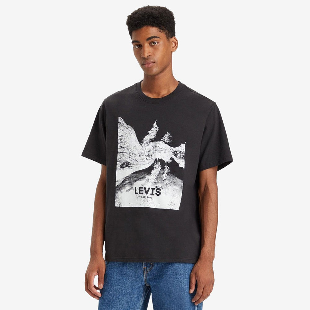 Maicë Levis 161431370