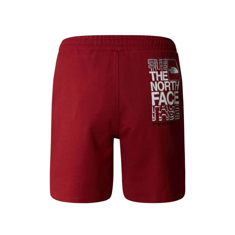 Shorce The North Face NF0A87ECPOJ1 M