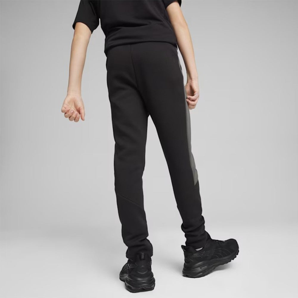 Trenerka të poshtme Puma 679198 01 D