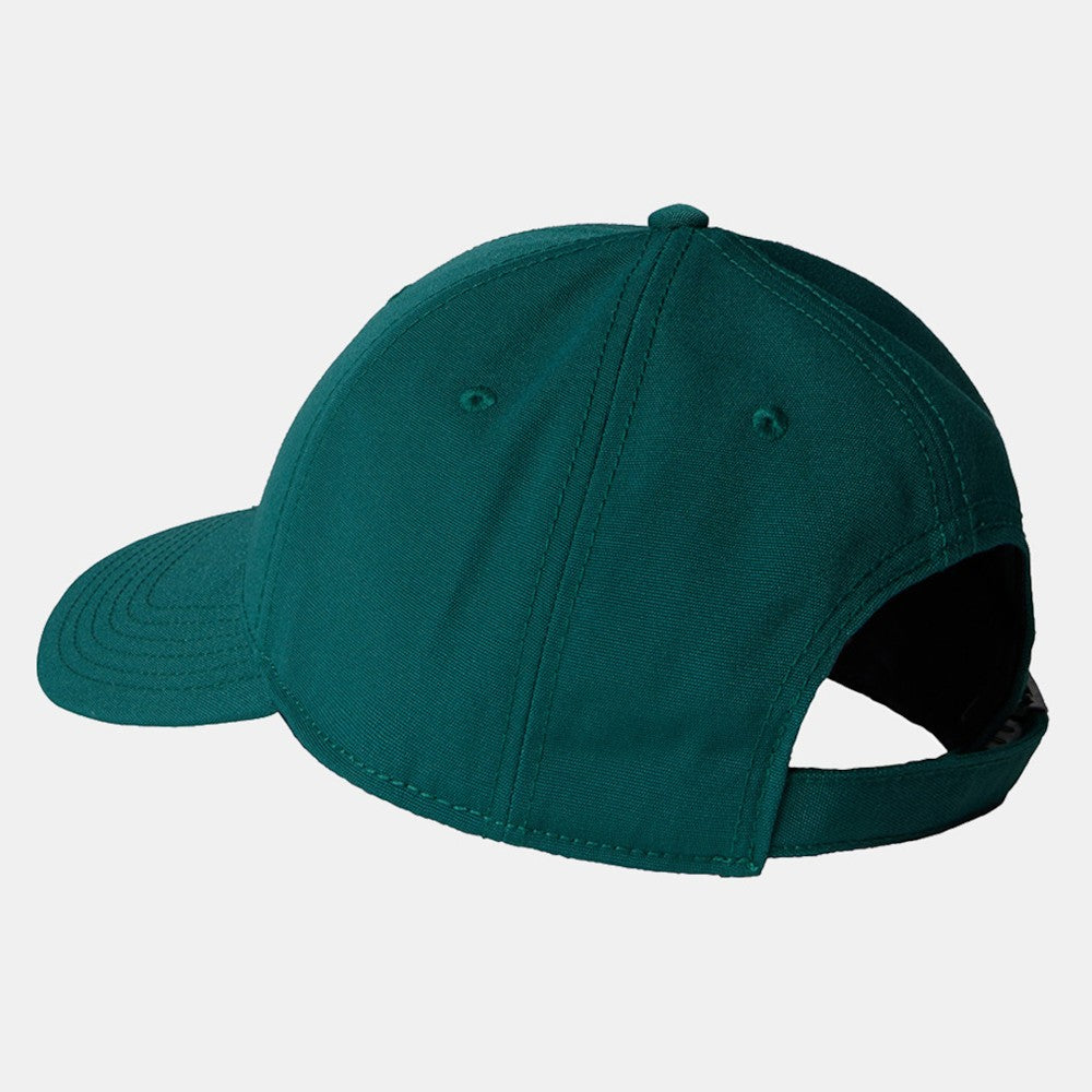 Kapelë The North Face NF0A4VSVBM31