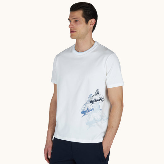 Maicë Paul & Shark MEN'S KNITTED COTTON T-SHIRT