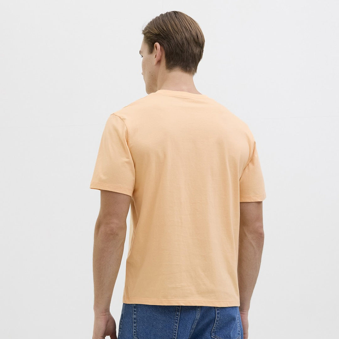 Maicë JJ REBELE 12273731 MOO