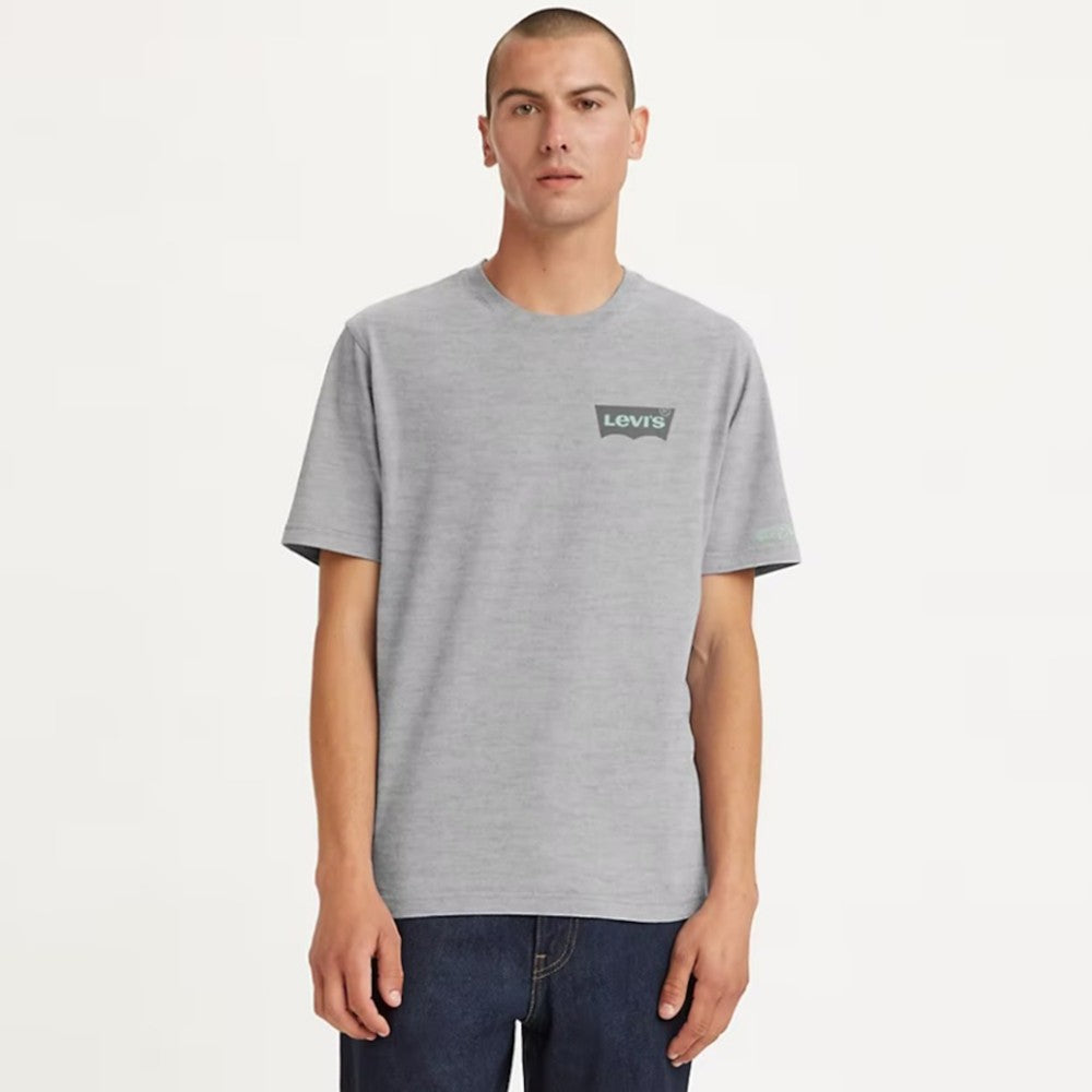 Maicë Levis 1614309520