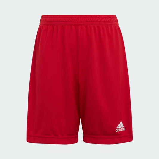 Shorce Adidas H57501 UFJ