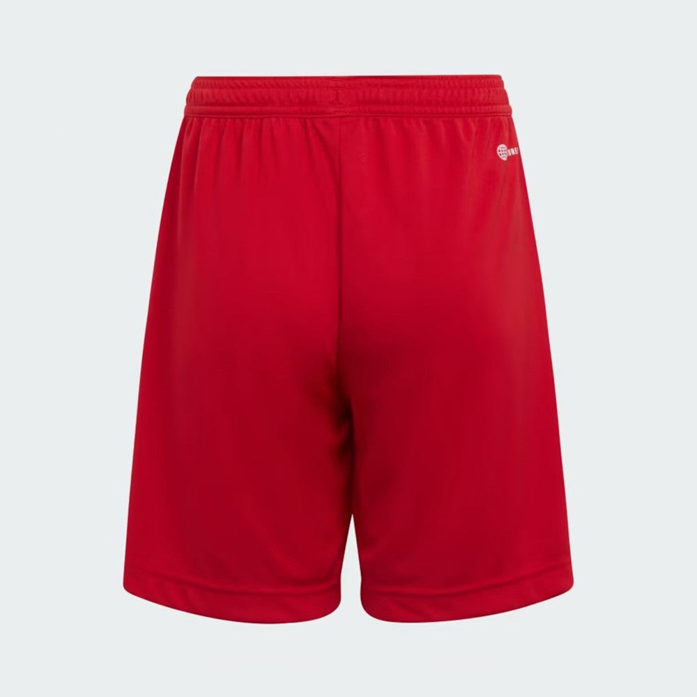 Shorce Adidas H57501 UFJ