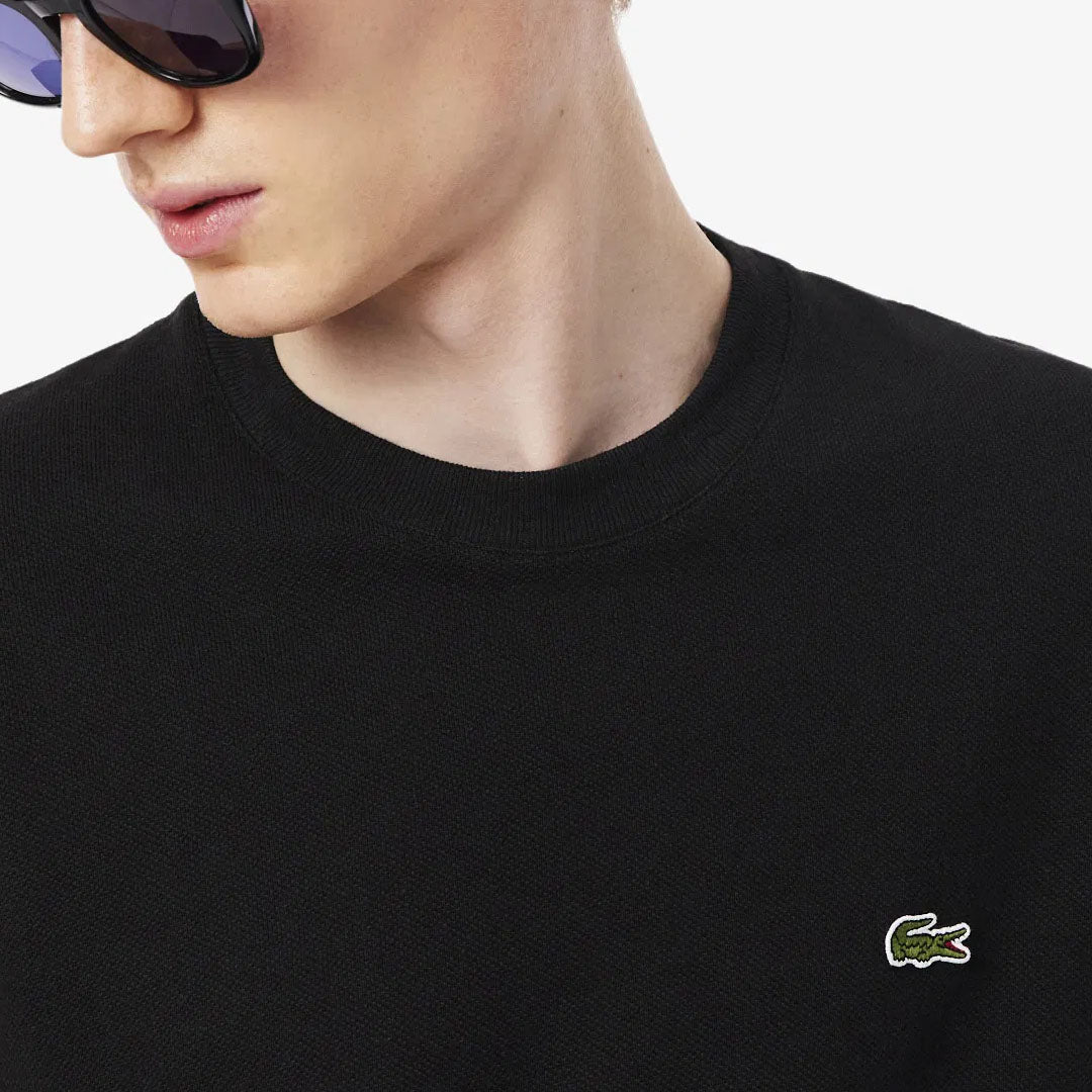 Maicë Lacoste TH0629 031