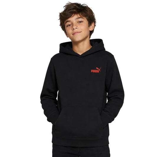 Duks Puma ESS LOGO LAB Brand Back Graphic Hoodie F