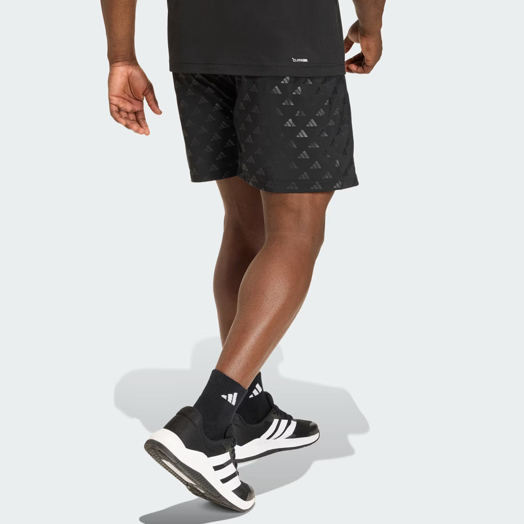 Shorce Adidas WE BRLO SHO