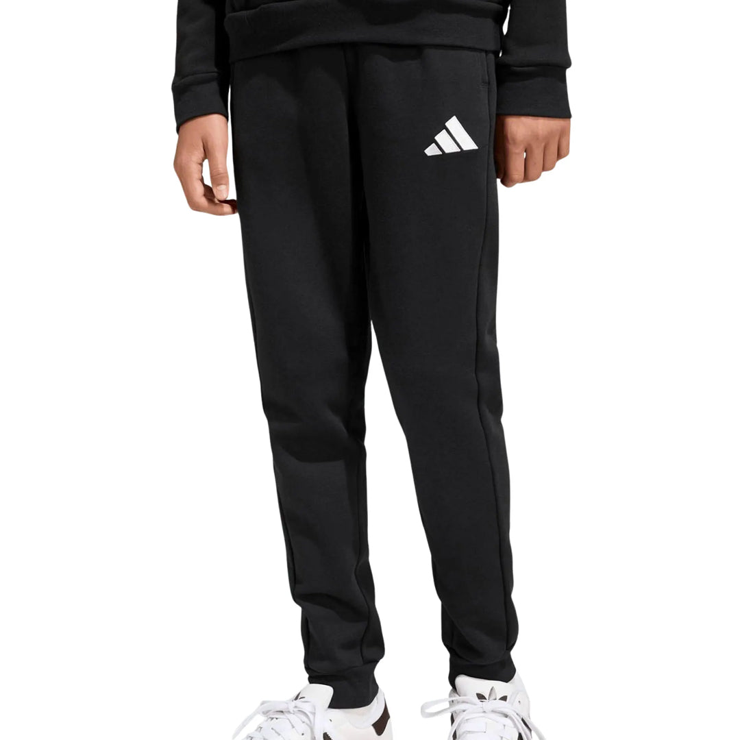 Trenerka të poshtme Adidas ENT26 SW PNTY