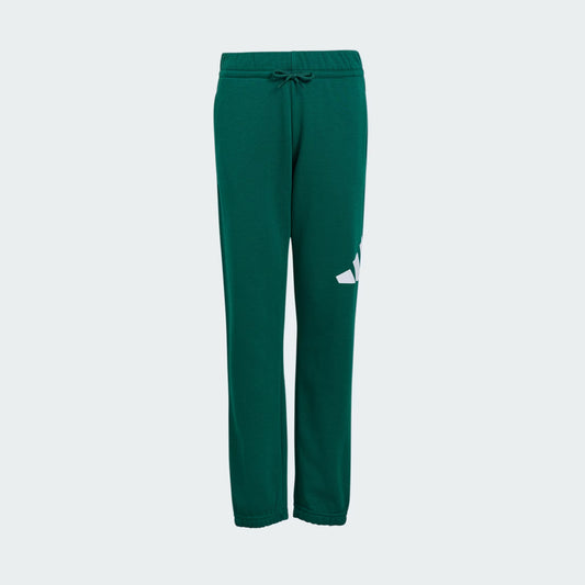 Trenerka të poshtme Adidas J BL FT PT 280