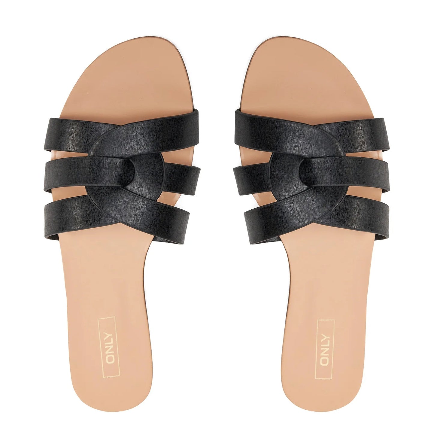 Papuqe Only 15319426 BLA
